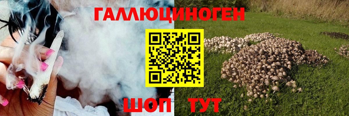 Нижнеудинск  Псилоцибиновые грибы мицелий  Вход с VPN 