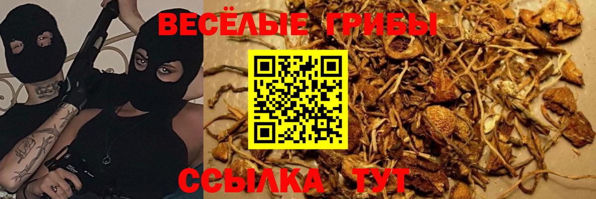 Галлюциногенные грибы прущие грибы Нижнеудинск